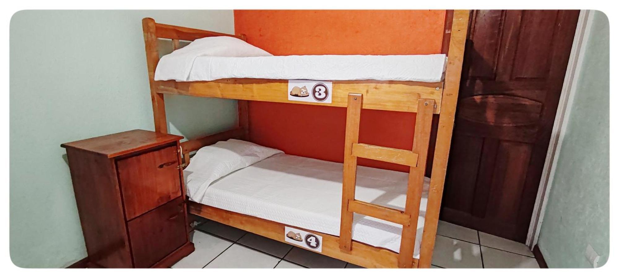 Hotel & Hostel Sloth Backpackers Monteverde Kültér fotó