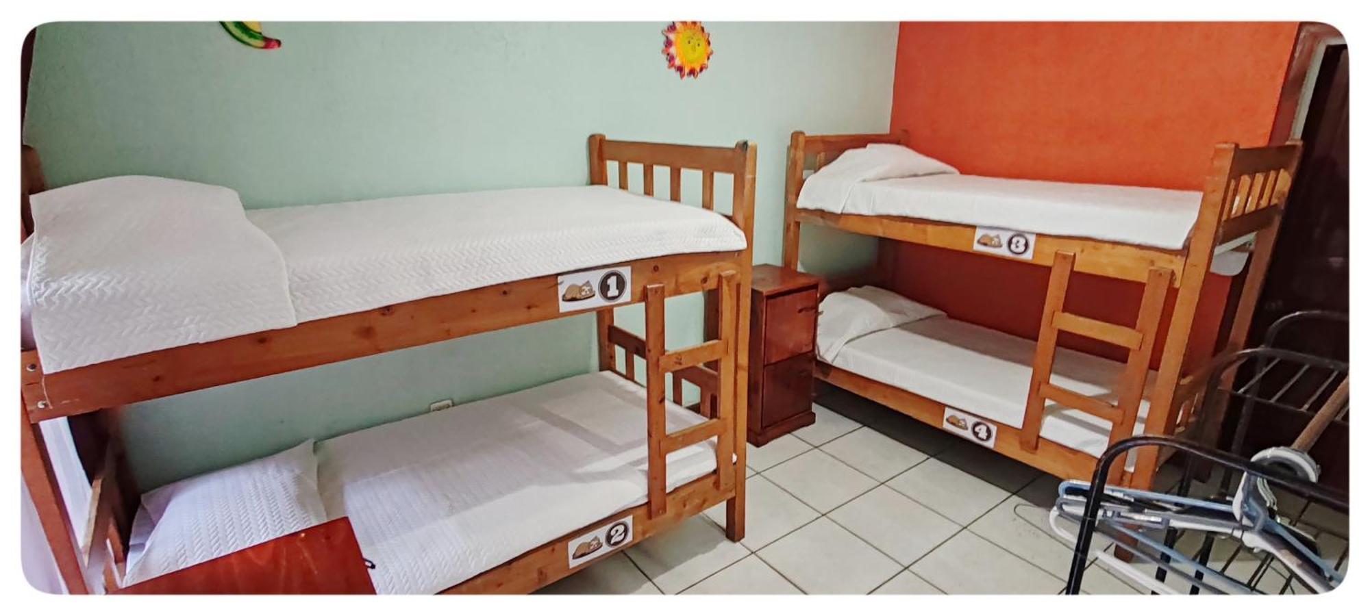 Hotel & Hostel Sloth Backpackers Monteverde Kültér fotó