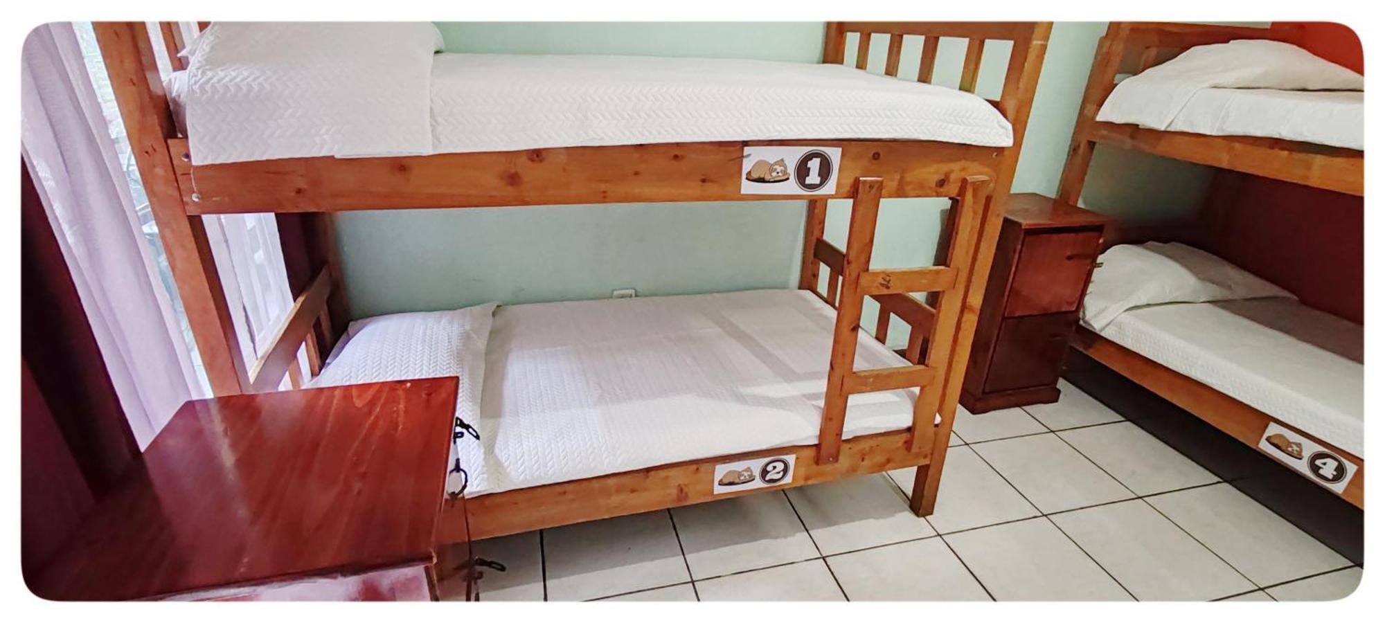 Hotel & Hostel Sloth Backpackers Monteverde Kültér fotó